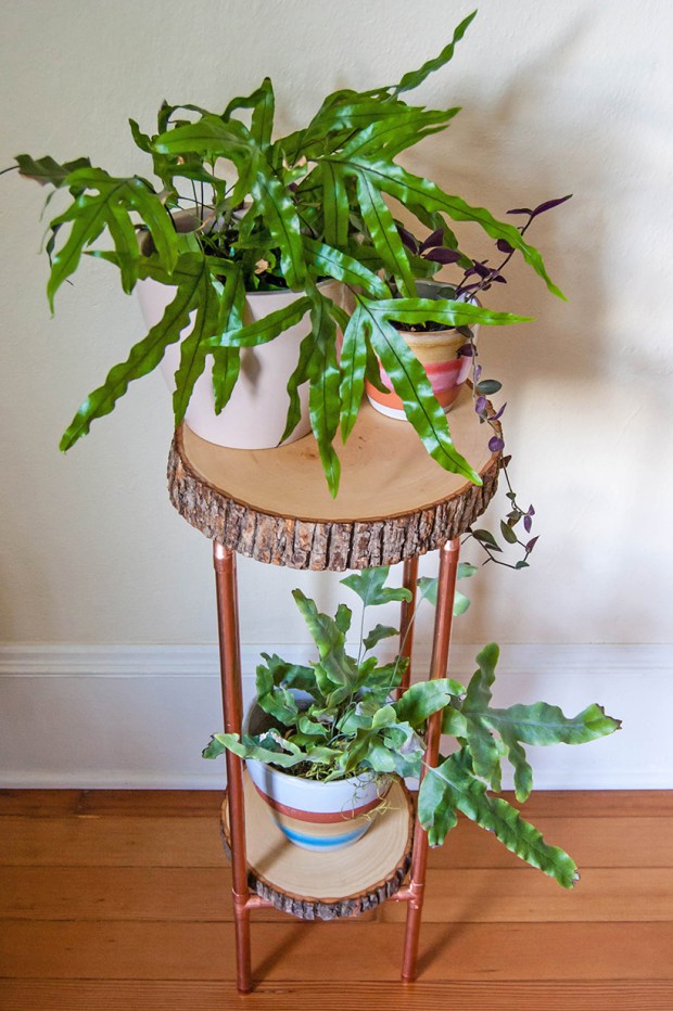 DIY Copper Pipe and Wood Slice Plant Stand