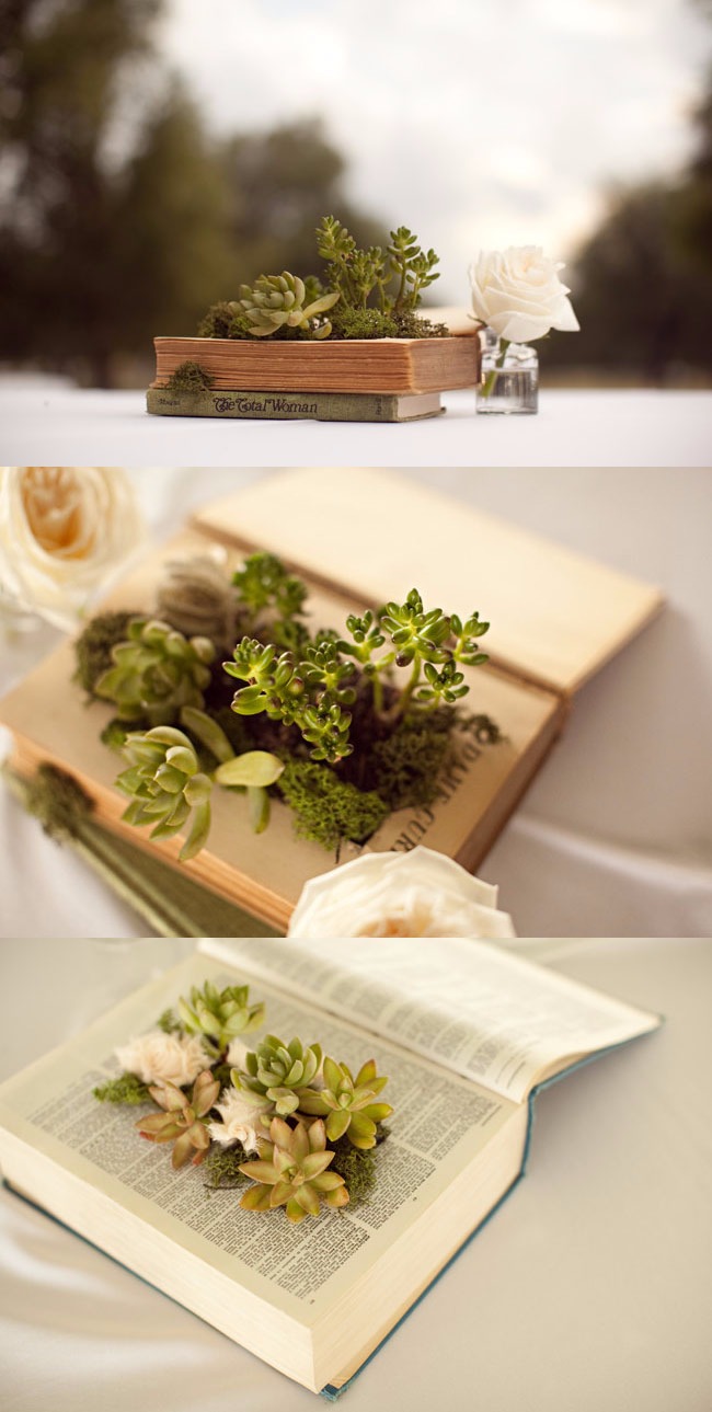 DIY Book Planter with Succulents