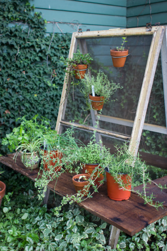 DIY Herb Garden Plant Stand