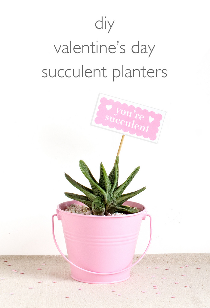 DIY Valentine Planters with a Free Printable!