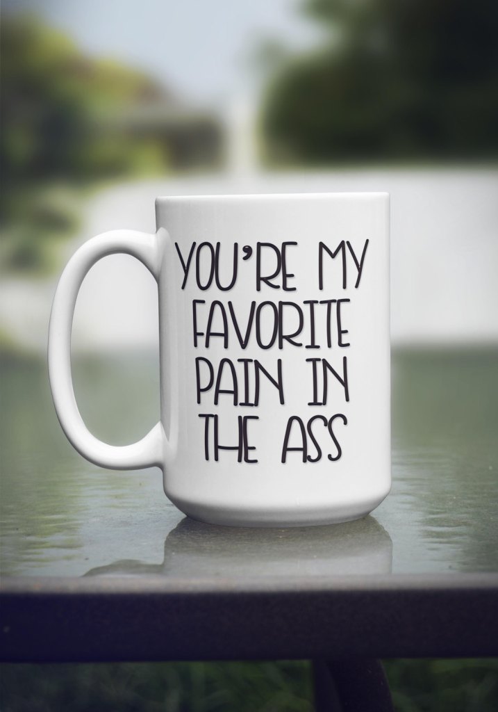 You're My Favorite Pain in the Ass Mug
