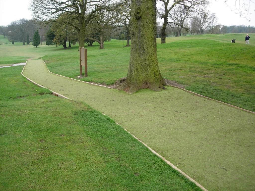 Grass Pathway