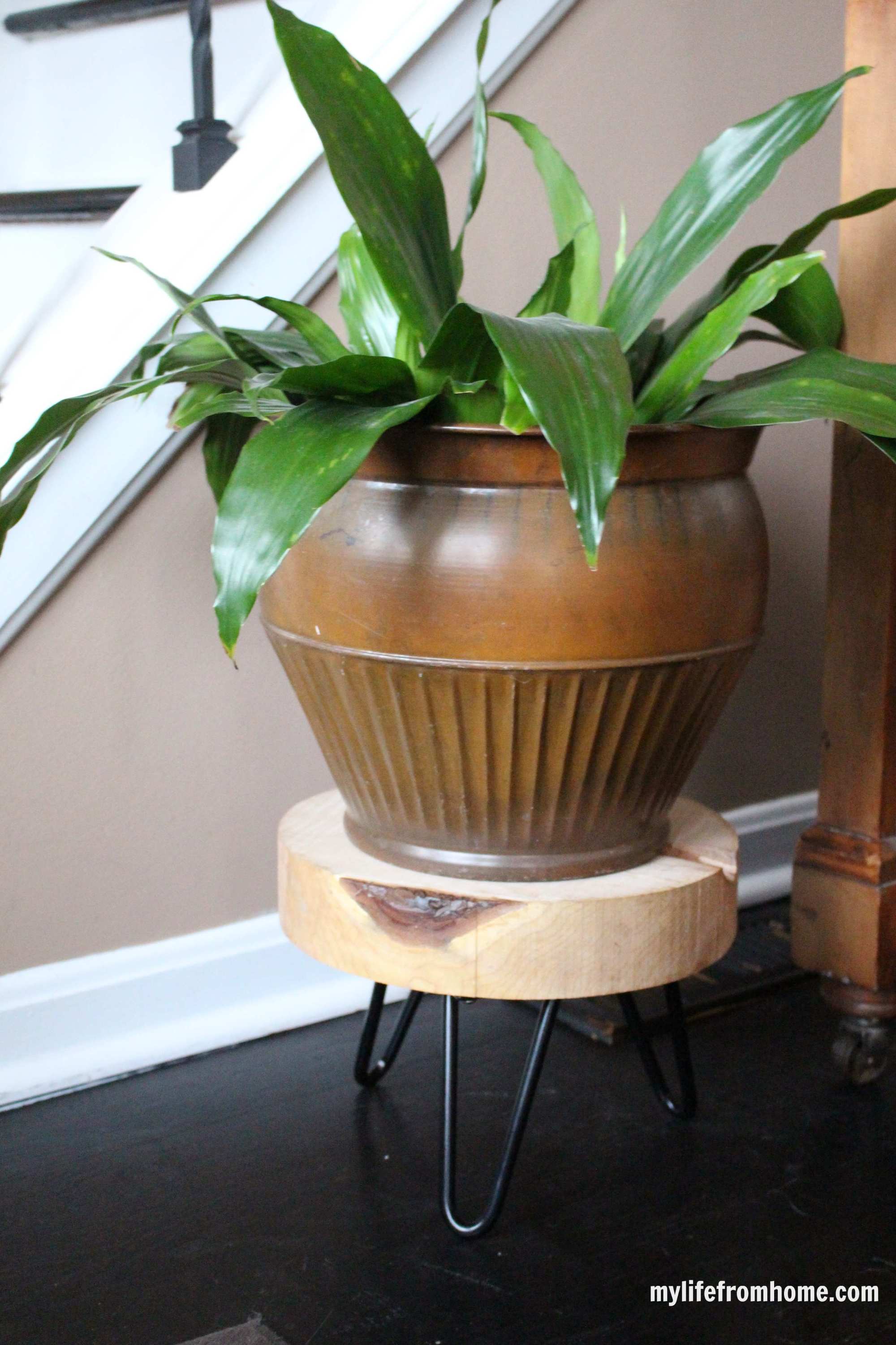 DIY Rustic Plant Stand