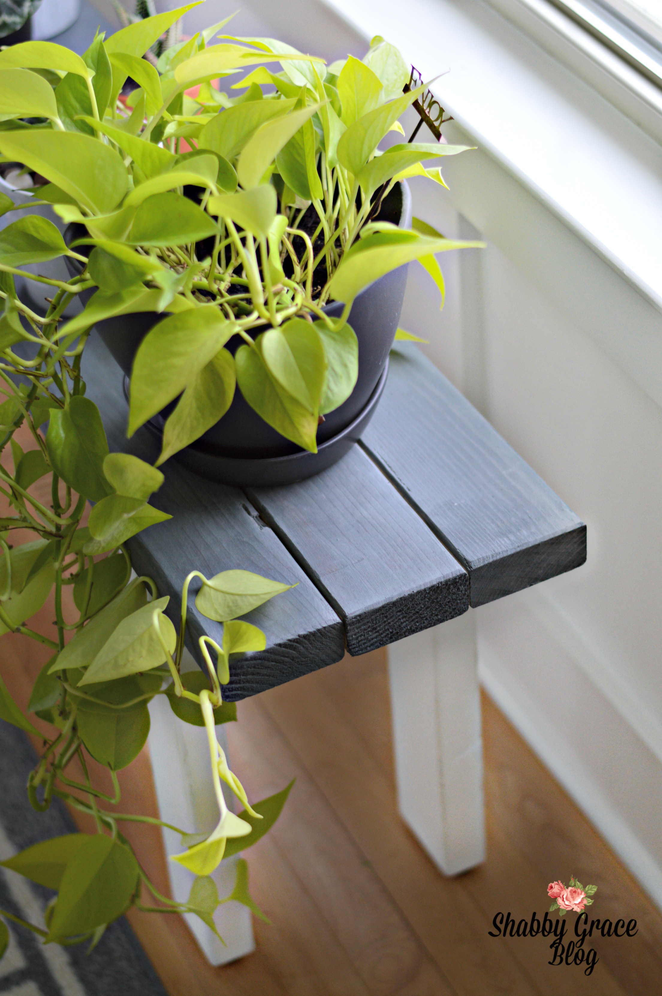 Easy DIY Wood Plant Stand