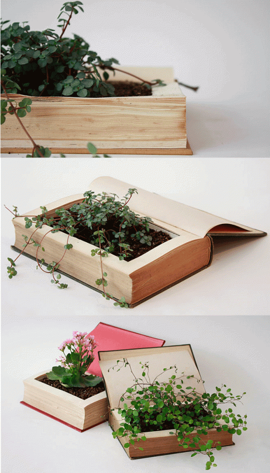 DIY Old Book Planter
