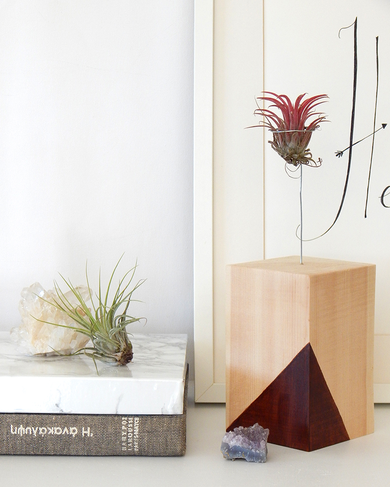 DIY Wooden Airplant Stand
