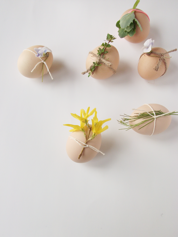 Natural Decorated Eggs