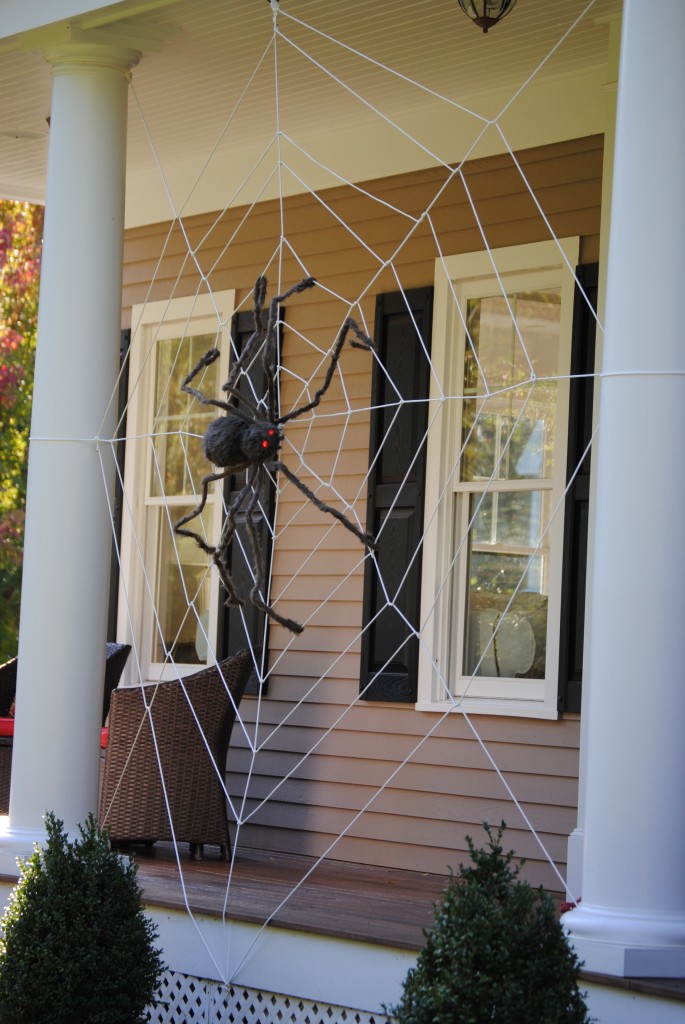 Tangled Spider Web