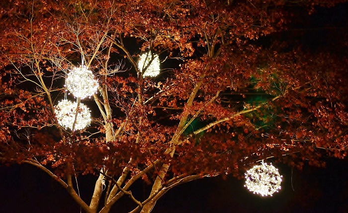 Lighted Christmas Balls For Outdoor Tree