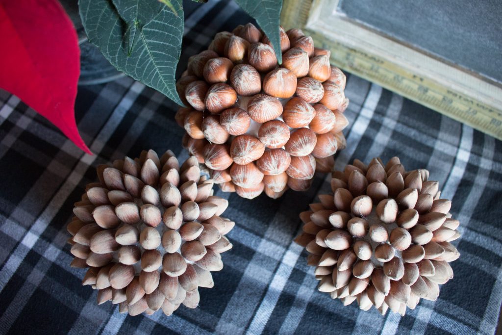 Decorative Hazelnut Balls