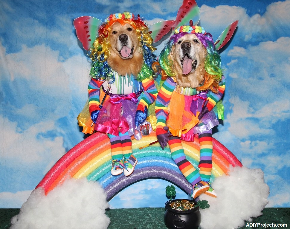 Dogs Rainbow Fairies Halloween Costume