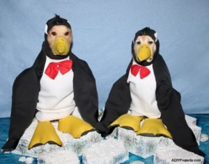 Penguins Halloween Costume For Dogs With Tutorial