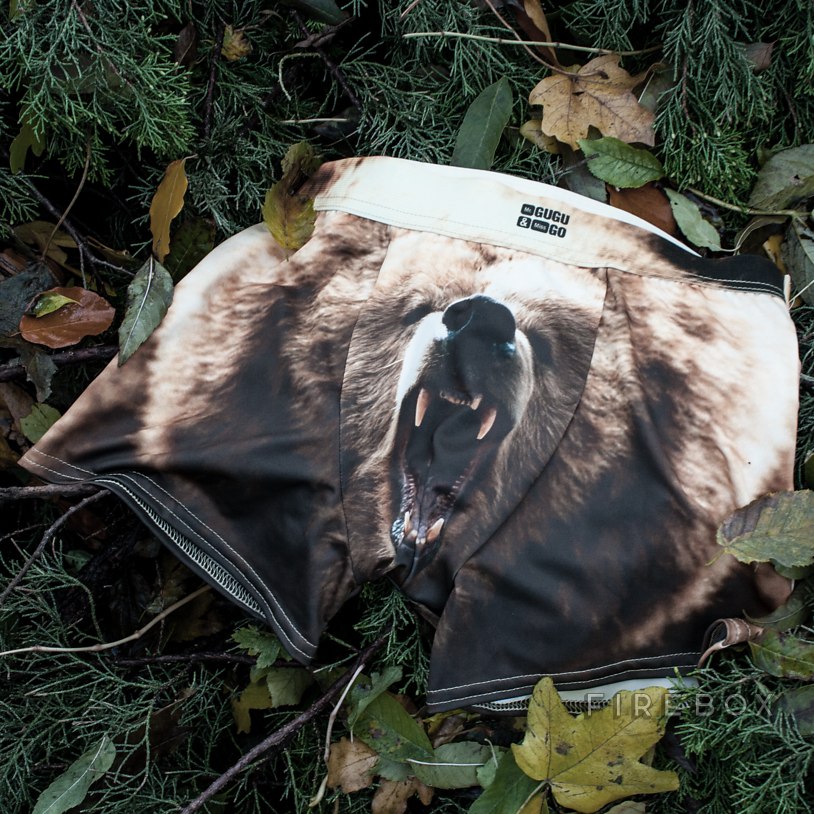 Grizzly Bear Underwear