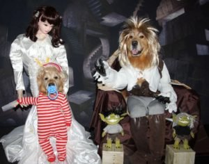 Labyrinth Halloween Costume For Dogs Tutorial