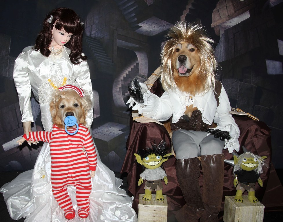 Labyrinth Halloween Costume For Dogs
