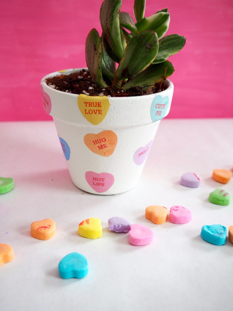 Candy Heart Succulent Pots
