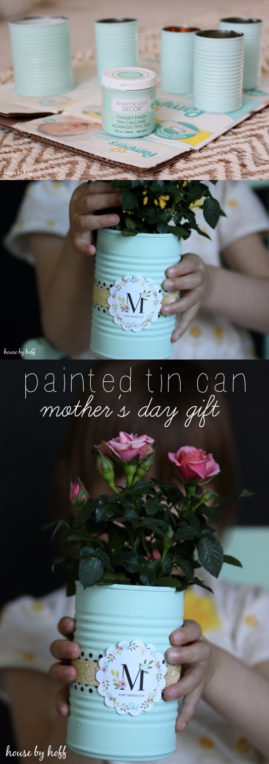 DIY Painted Tin Cans