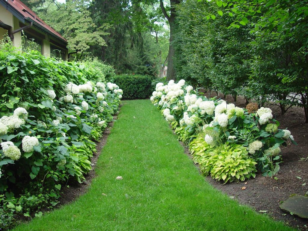Flower Side Walkway