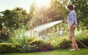 5 Garden Watering Products Every DIY Gardener Needs