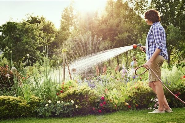 5 Garden Watering Products Every DIY Gardener Needs