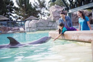 The Life Aquatic: Exploring San Diego Marine Life