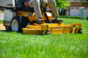 Lawn Maintenance Innovations You May Not Have Heard of Yet