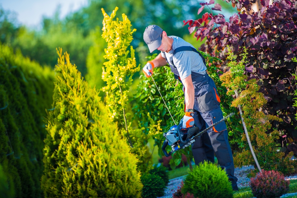 5 Inarguable Reasons to Hire a Professional Landscaper