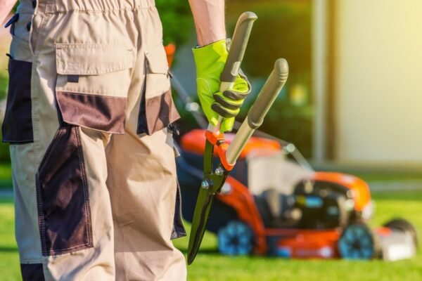 5 Inarguable Reasons to Hire a Professional Landscaper