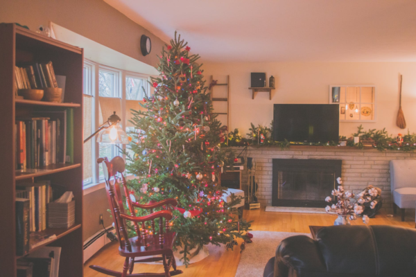 Preparing Your Trees for Christmas