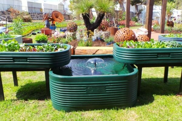 Taking a Close Look at Aquaponics and Why You Need to Start One Now!