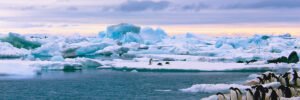 Three Cruises to Antarctica – Which One Would You Prefer