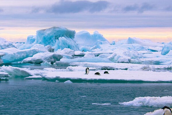 Three Cruises to Antarctica – Which One Would You Prefer