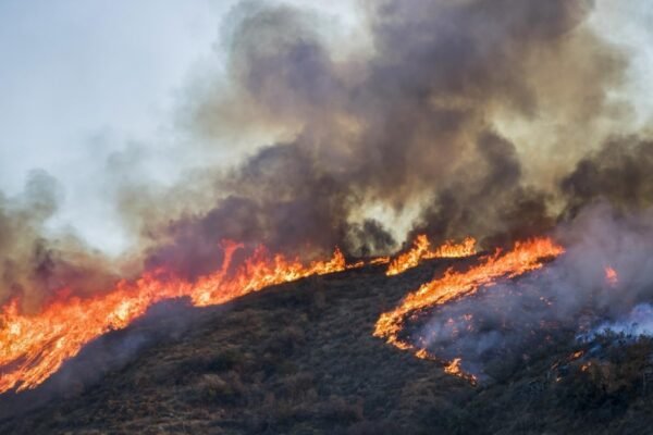 How to Help the Victims of the Devastating California Wildfires