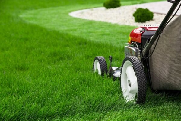 10 DIY Lawn Care and Maintenance Tips for Moms