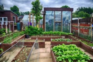 4 Tips to Maintaining Your Greenhouse