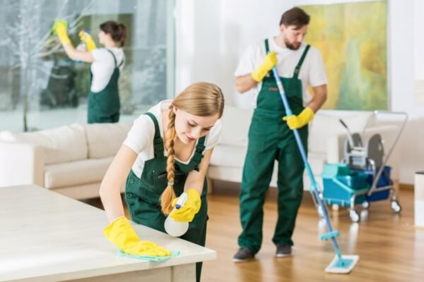 How to Choose the Right Cleaning Service in Windermere, Florida