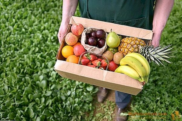 Why Consumers are Buying Fresh Cut Fruit for Delivery in Singapore