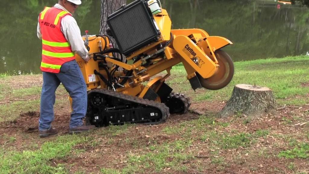 What Is Stump Grinding - A DIY Projects