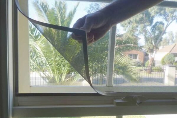 Why are Fly Screens a Must for Our Homes?