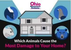 8 Notorious Pests and Wild Animals that Can Damage Your Home