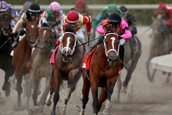 How is Online Horse Racing Different Than Traditional Horse Racing