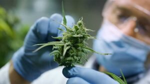 HHC: The Secret Cannabinoid That’s Taking the Market by Storm