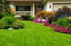 How to Choose the Right Grass Type for Your Lawn